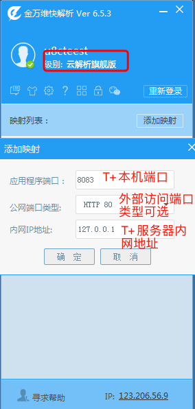 云解析旗舰版结合T+应用设置