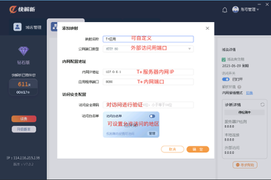 快解析钻石版实现T+外网访问