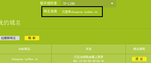 TPlink DDNS 内网穿透？外网访问设置方法